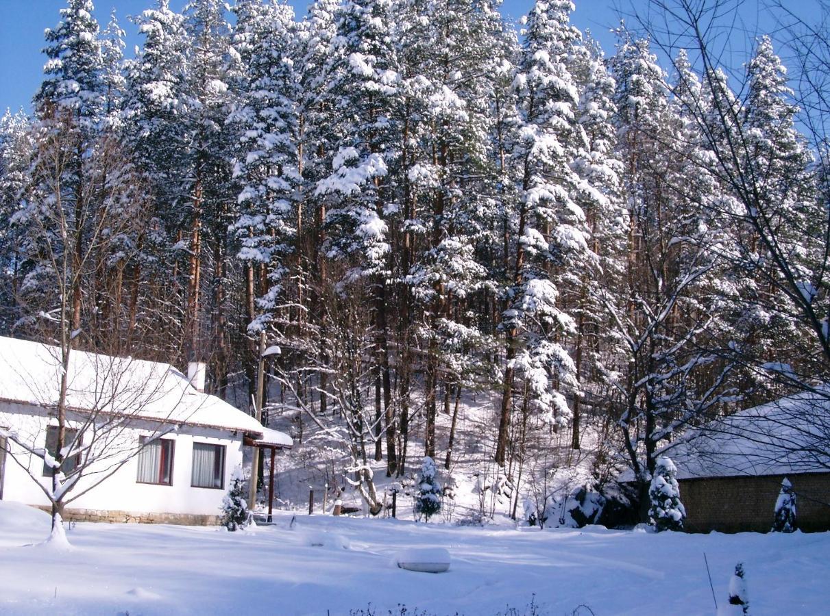 Holiday Home Tanevi Trjavna Buitenkant foto